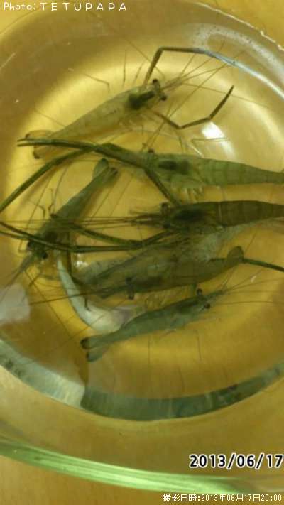 ��Ĺ����