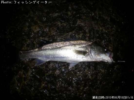 �����Х�