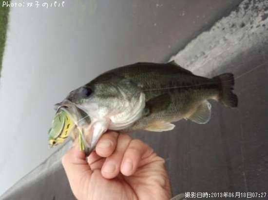 �֥�å��Х�