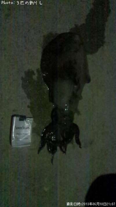 �����ꥤ��