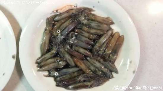 �ҥ�������ꥤ��