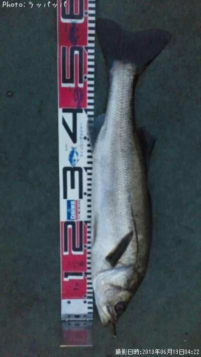 �����Х�