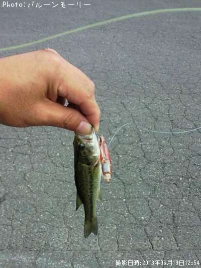 �֥�å��Х�