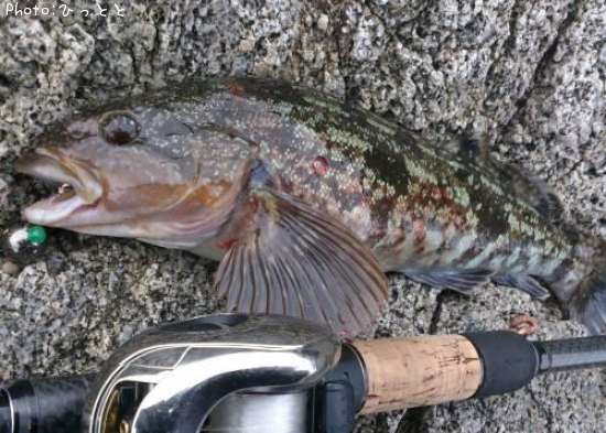 �����ʥ�