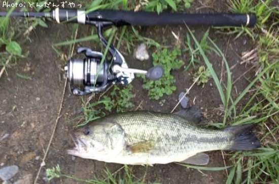 �֥�å��Х�