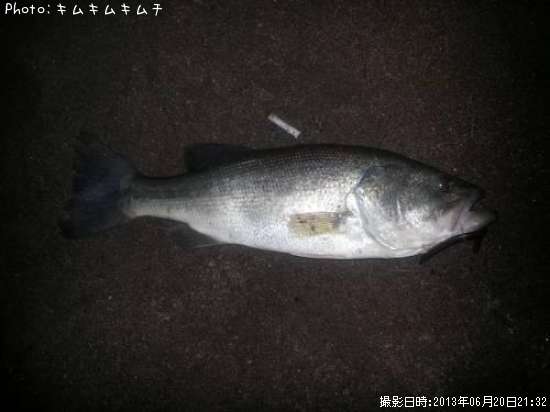 �֥�å��Х�