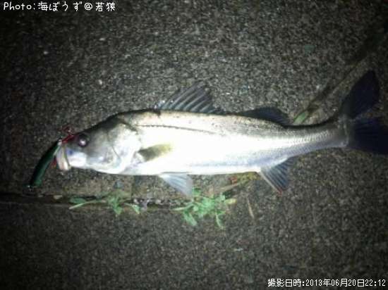 �����Х�