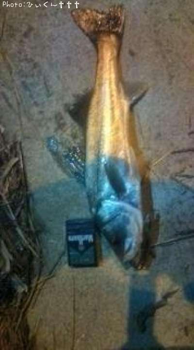 �����Х�