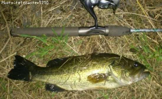 �֥�å��Х�