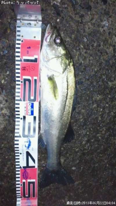 �����Х�