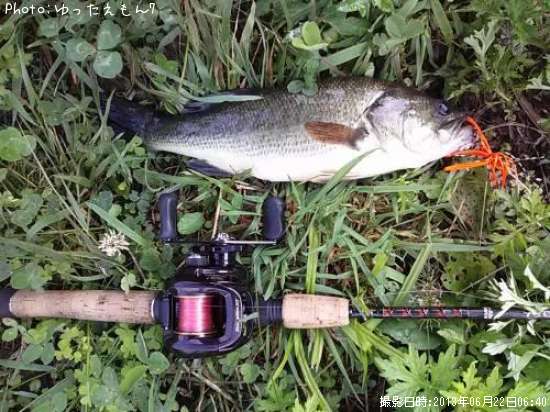 �֥�å��Х�