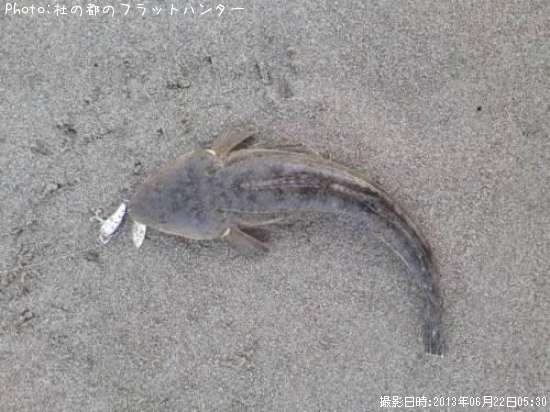 �ޥ���