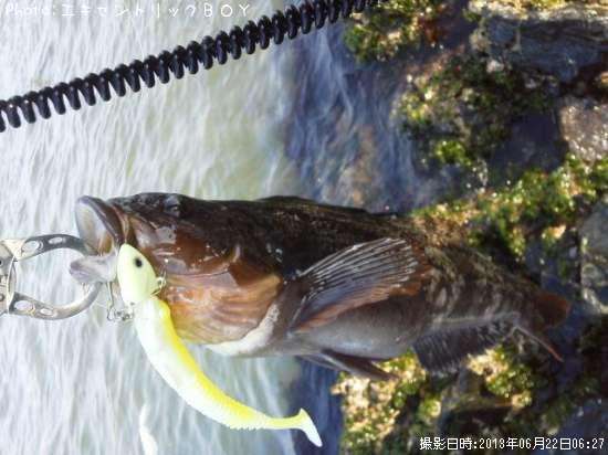 �����ʥ�