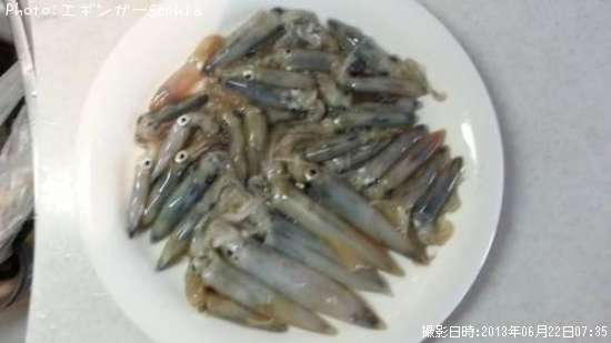 �ҥ�������ꥤ��