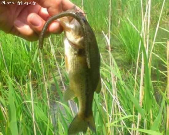 �֥�å��Х���