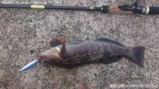 �����ʥ�