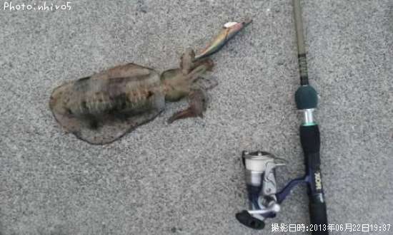 �����ꥤ��