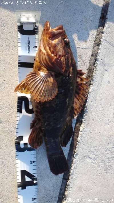 �����Υ���Х�