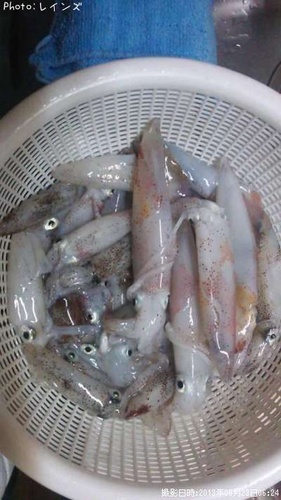 �ҥ�������ꥤ���������Υ�