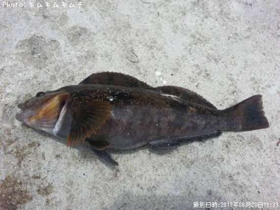 �����ʥ�