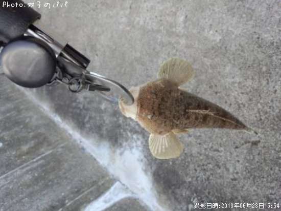 �ޥ���