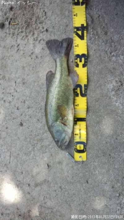 �֥�å��Х�