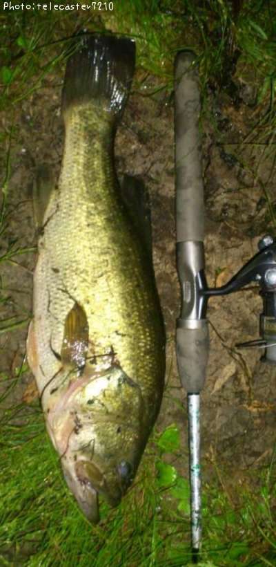 �֥�å��Х�