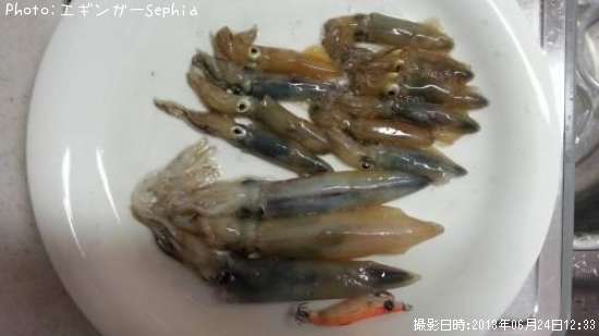 �ҥ�������ꥤ��