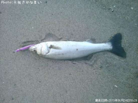 �����Х�