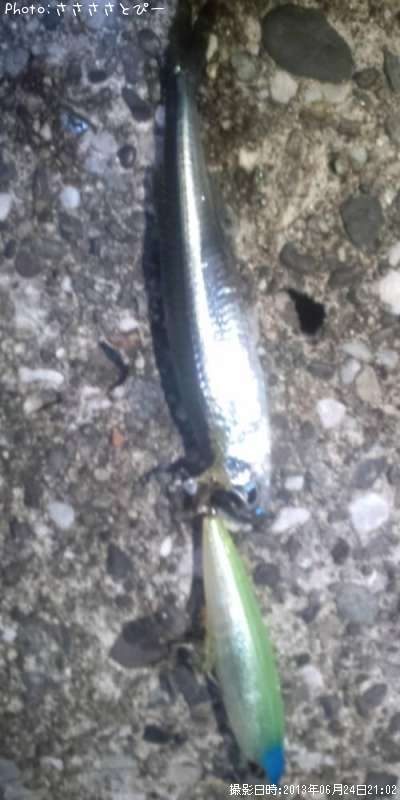 �����Х����٥���