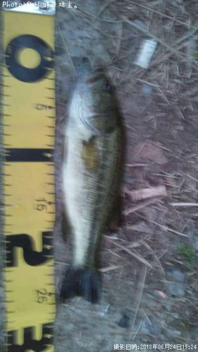 �֥�å��Х�