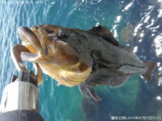 �����ʥ�