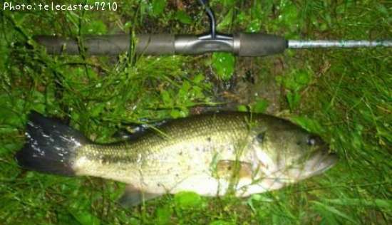 �֥�å��Х�