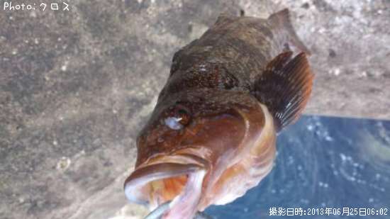 �����ʥ�