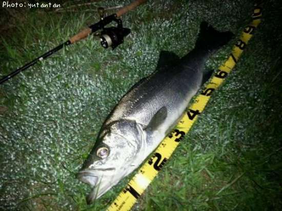 �ҥ饹����