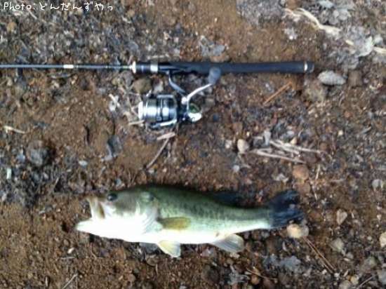 �֥�å��Х�