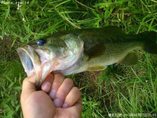 �֥�å��Х�