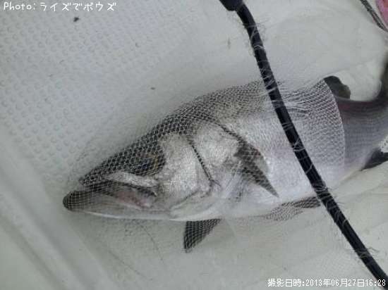 �ҥ饹����