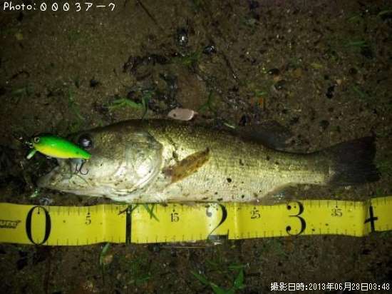 �֥�å��Х�