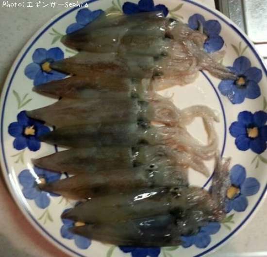 ��ꥤ�����ҥ���