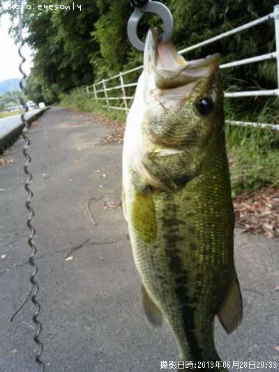 �֥�å��Х�