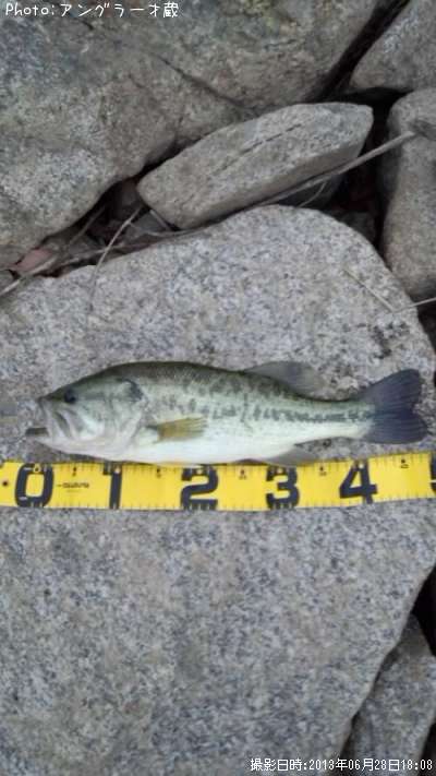 �֥�å��Х�