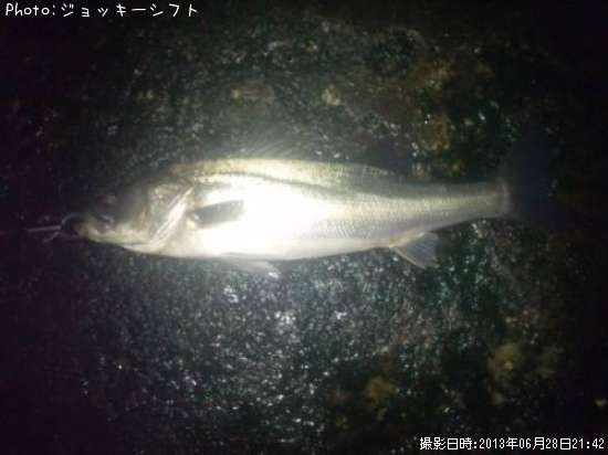 �����Х�