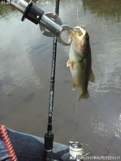 �֥�å��Х�