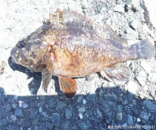 �����Υ���Х����饽��