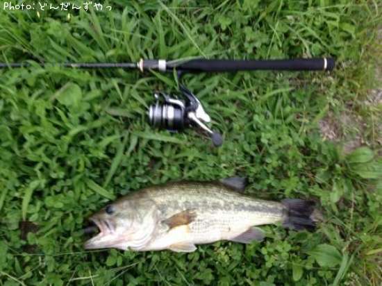 �֥�å��Х�