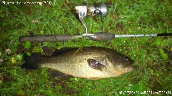 �֥�å��Х�