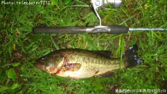 �֥�å��Х�