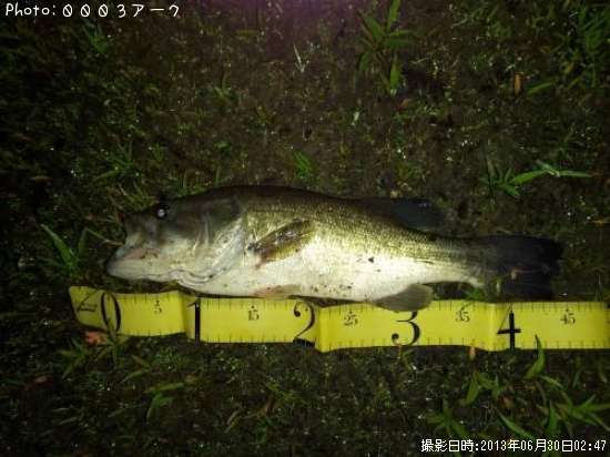 �֥�å��Х�