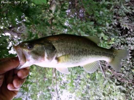 �֥�å��Х�